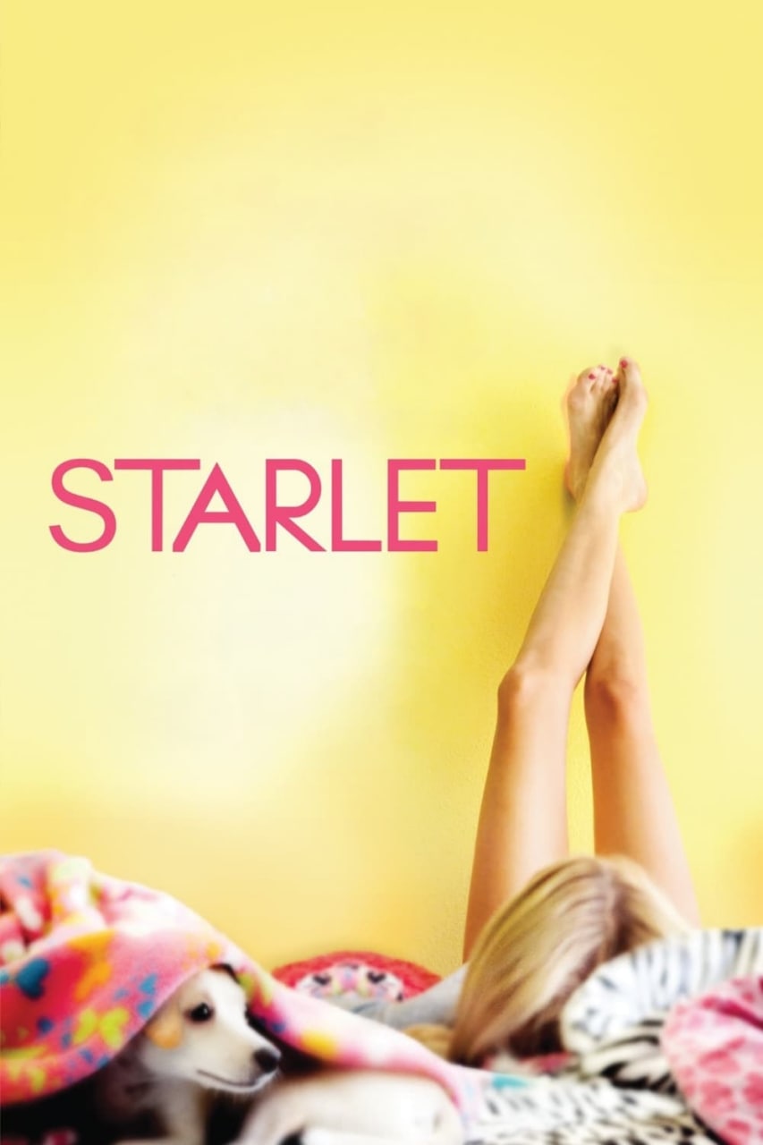 待绽蔷薇 Starlet (2012) 1.39 GB